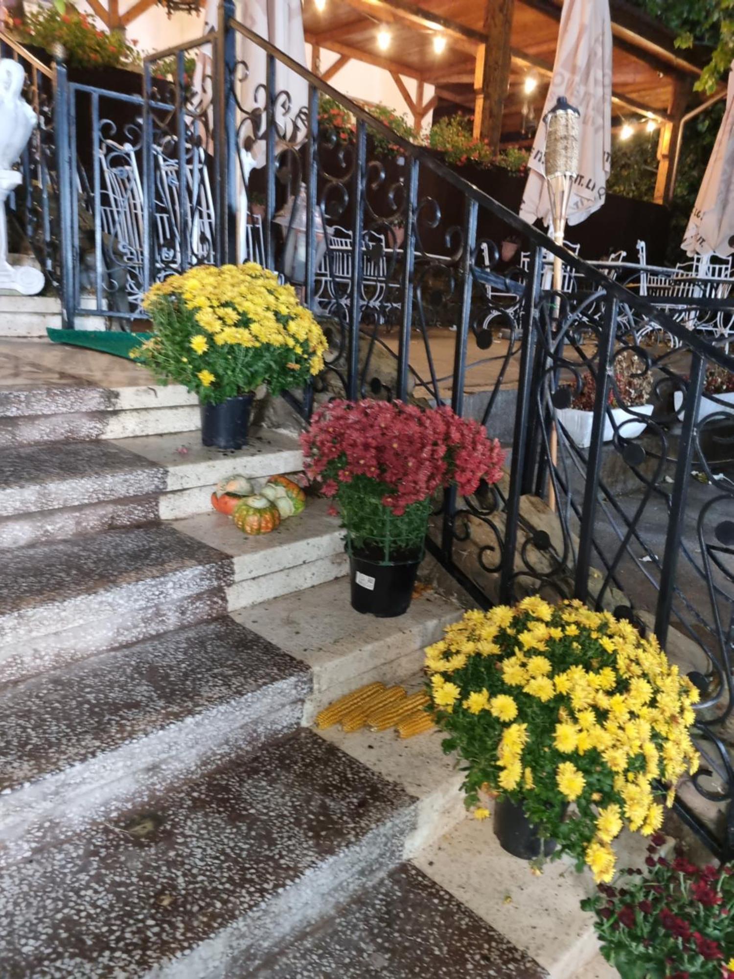 Hotel Casa Boiereasca Iasi Exterior foto